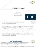 Cap 12 Metabolismo