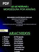 Aracnesmo 1226002221290865 8