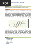 Identificación de Saponinas Marcha