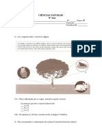 Teste de Avaliacao de Ciencias Naturais 8º Ano