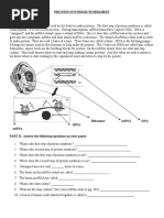 Protein-Synthesis-Worksheet 2018