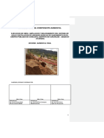 Informe Ambiental Final - Concacha. Obs. 22-01-2018