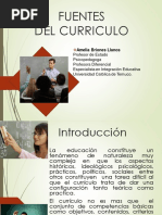 Fuentes y Fundamentos Del Curriculum