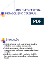 Aula Metabolismo Cerebral