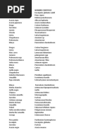 Especies Vegetales Angiospermas