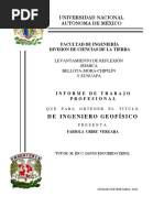 Informe SUNUAPA 3D