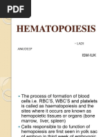 Hematopoiesis New 161214142246