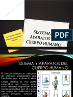 Sistemas y Aparatos Del Cuerpo Humano