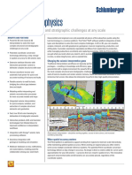 Petrel 2012 Geophysics