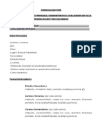 Modelo Obligatorio de Curriculum Vitae