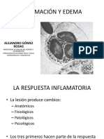 Inflamacion y Edema