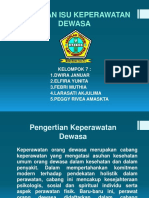 Keperawatan Dewasa