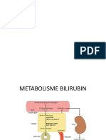 Metabolisme Bilirubin