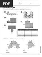 Perimetros y Areas