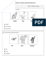 Lirmi - Evaluaciones - Pdfdiagnosticociencias