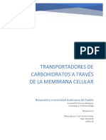 Transportadores de Carbohidratos A Través de La Membrana Celular