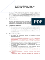 Pautas Metodológicas para La Elaboración Del Proyecto