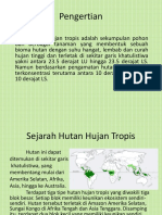 Hutan Hujan Tropis