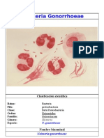 Neisseria Gonorrhoeae