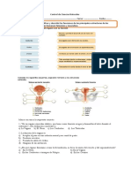 Control de Ciencias Naturales AP Reproductor