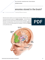 Where Are Memories Stored - Queensland Brain Institute - University of Queensland