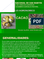 Exposicion de Cacao