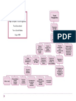 Mapa Conceptual Teoria Psicogenetica