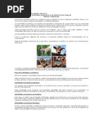 Actividades Productivas