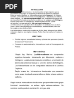 Informe Quimica Organica