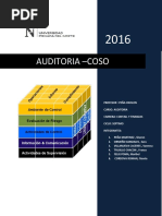 Auditoria Coso