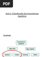 Aula 3 Classificacao Dos Ecossistemas Aquaticos PDF