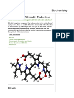 Bilirubin and Biliverdin Reductase