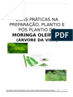 Boas Práticas Na Preparação, Plantio e Pós Plantio de Moringa Oleífera v.3