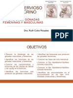 20a Sesión SNyE Funciones de Las Gónadas Masc y Fem