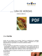 Sutura de Heridas