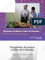 Región Cauca y Nariño PDF