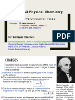 Electrochemical Cells