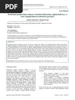 Persistent Postpartum Urinary Retention Following Vaginal Delivery: A Rare Complication in Obstetrics Practice