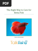 Right Care For Betta Fish