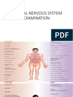 Nervous System Examination