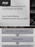 Biología y Biomecánica en La Consolidación de Huesos