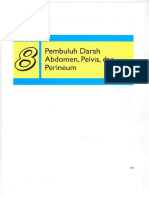 Bab 8 Pembuluh Darah Abdomen, Pelvis, Dan Perineum