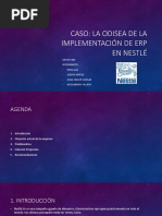 Caso Nestle Grupo 08