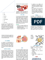 Triptico Enfermedades de Transmision Sexual