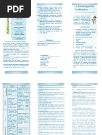 Investigación Cualitativa