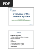 Overview of The Nervous System: Outline