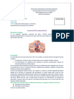 TAREAS