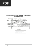 Datos Del Proyecto de Presa