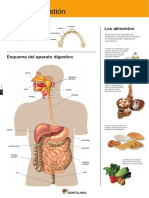 Láminas CCNN 4-6 SH PDF