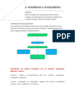 Movimientos Voluntarios e Involuntarios